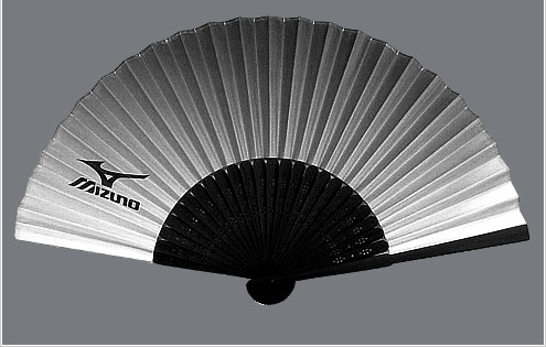 ミズノ株式会社