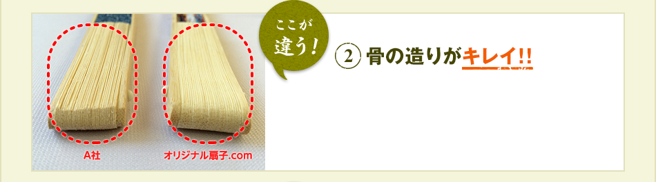 ここが違う！ 2 骨の造りがキレイ！！